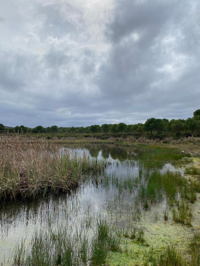 Herdade De Alagaes Mértola Eksteriør billede